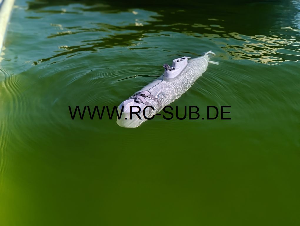 PXL 20240308 134851690.PORTRAIT